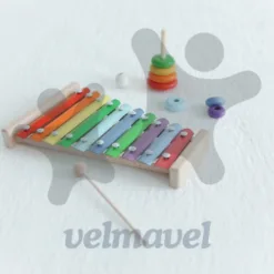 Educational Toys: Math Counting Toys in Kentucky